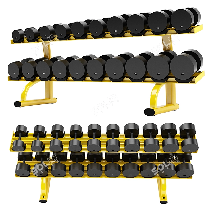 Premium Dumbbell Rack: Organize with Style 3D model image 1