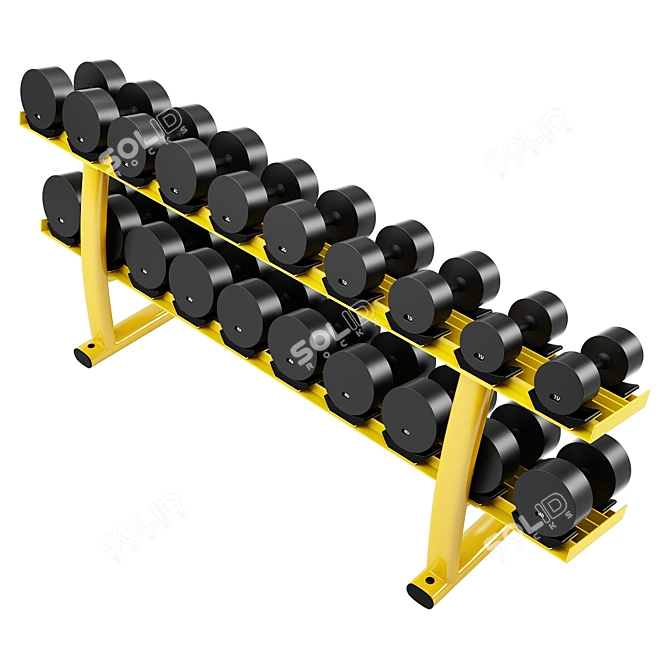 Premium Dumbbell Rack: Organize with Style 3D model image 2