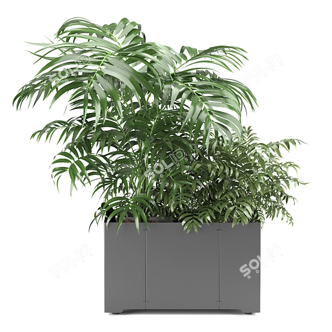 Tropical Oasis: Palm Tree in Pot 3D model image 2