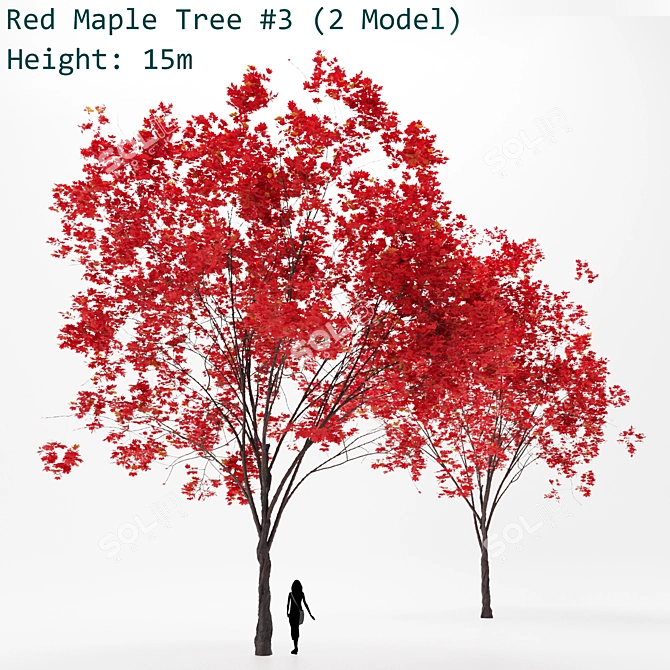 Lush Red Maple Tree: Stunning & Lifelike Foliage 3D model image 1