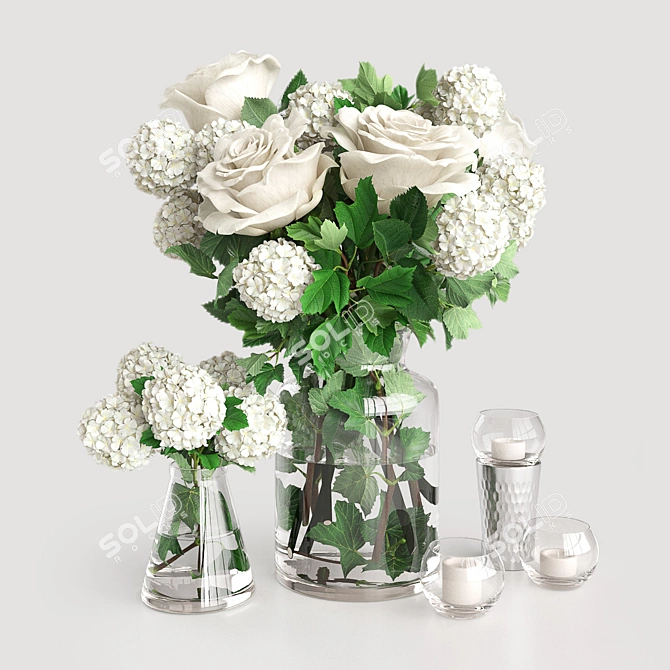 Vibrant Viburnum Snow Ball - Perfect Addition to Your Garden! 3D model image 1