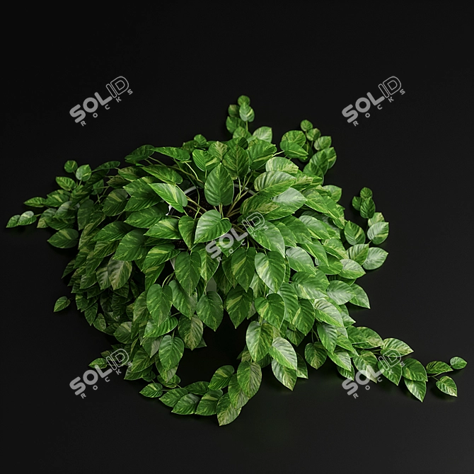 Vibrant Greenery Set - 12 Lush Plants 3D model image 2