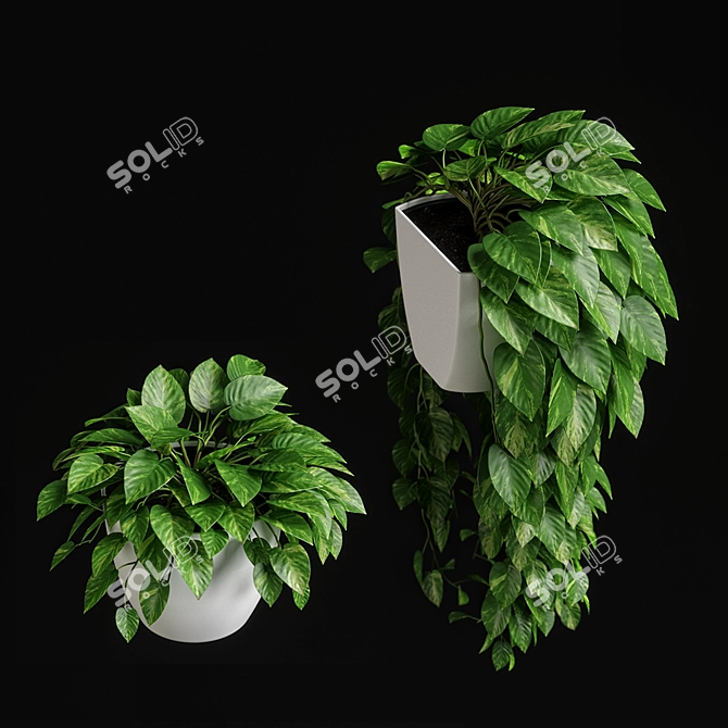 Vibrant Greenery Set - 12 Lush Plants 3D model image 4