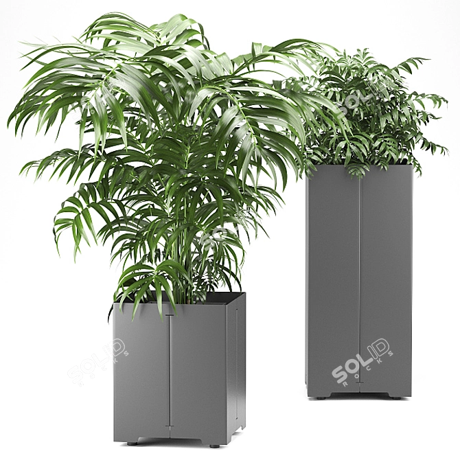 Cape Collection: Palm Tree Pot 3D model image 1