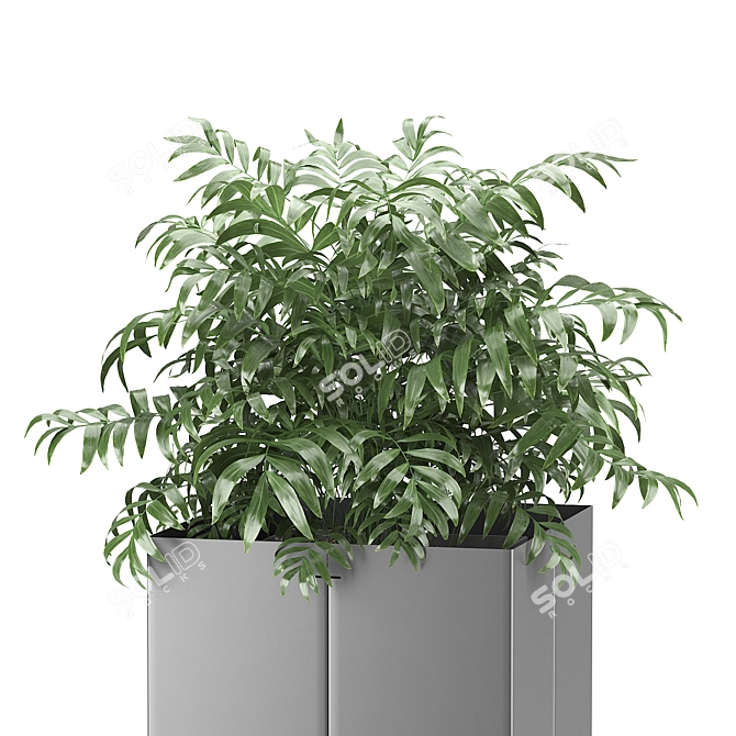 Cape Collection: Palm Tree Pot 3D model image 2