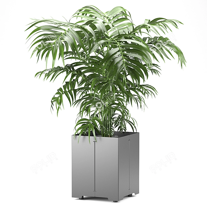 Cape Collection: Palm Tree Pot 3D model image 3
