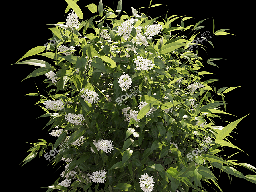 Spring Blossom Lilac Delight 3D model image 2