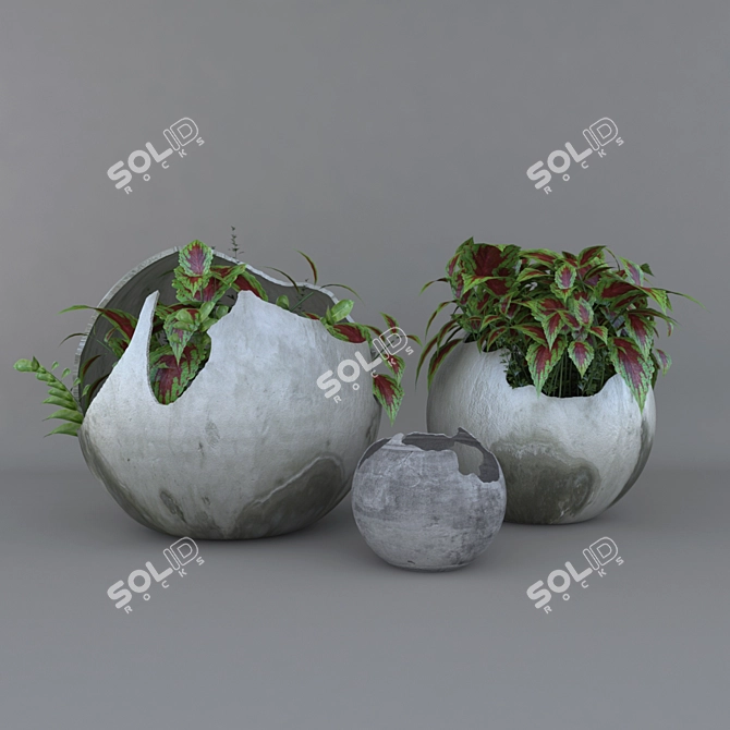 Versatile Outdoor and Indoor Flower Pot 3D model image 2