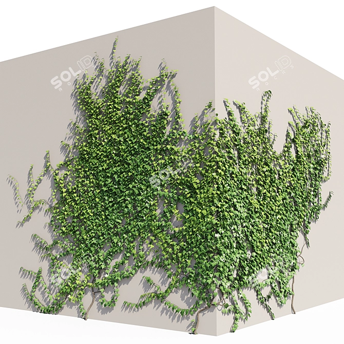 Ivy Corner English Wall Decor 3D model image 1