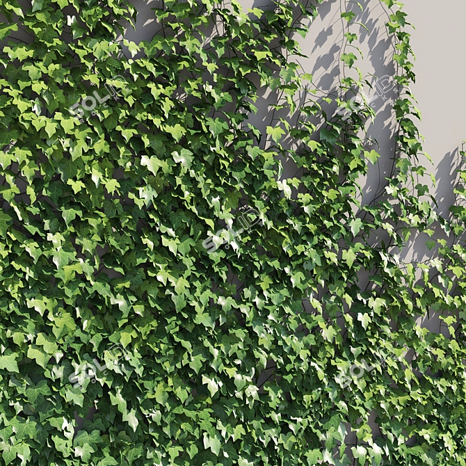 Ivy Corner English Wall Decor 3D model image 3