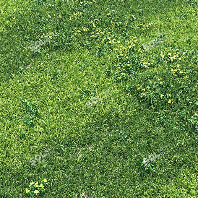 Green Paradise Grass England Garden 3D model image 1