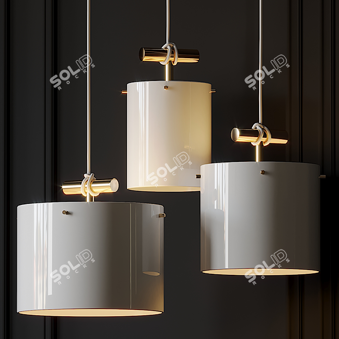 Castor Fresnel Pendant: Modern Illumination 3D model image 1