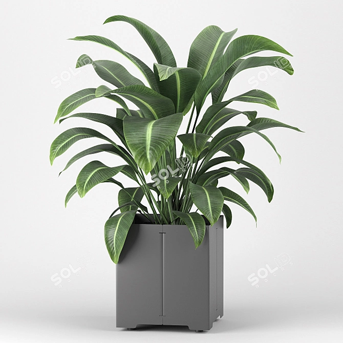 Introducing: Potted Plant from the CAPE Collection 3D model image 1