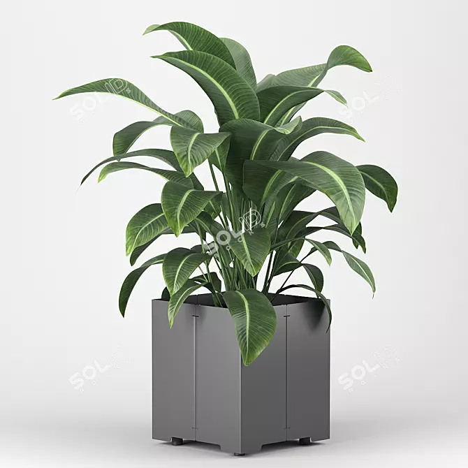Introducing: Potted Plant from the CAPE Collection 3D model image 4