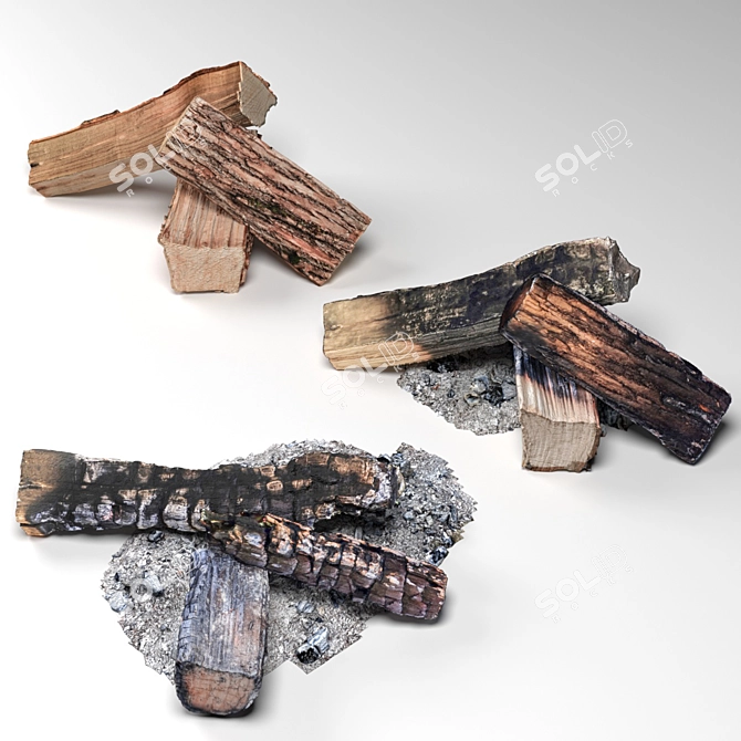 Smoldering Charred Wood 3D model image 2