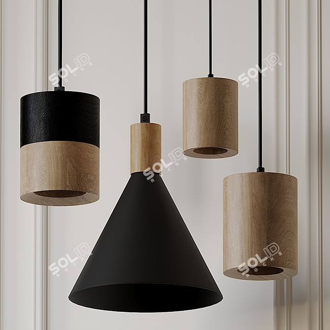 Hanging Small Cone: Spot Half Black 3D model image 1