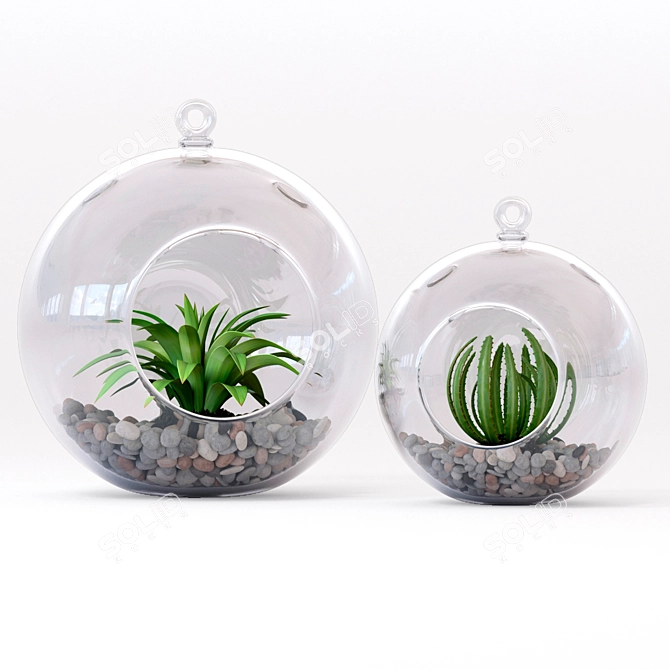 Mini Decor Plants Set | Hanging or Tabletop Vases 3D model image 1
