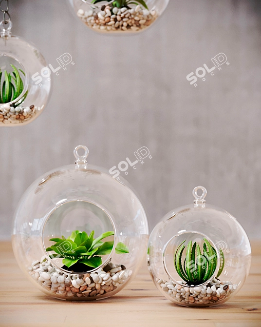 Mini Decor Plants Set | Hanging or Tabletop Vases 3D model image 2