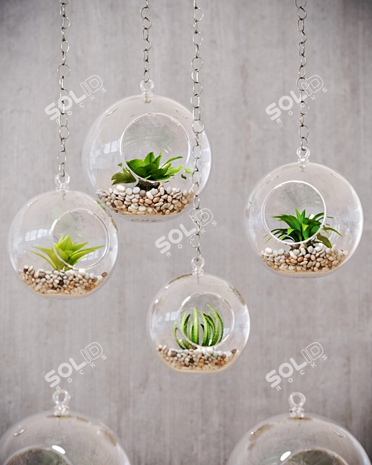 Mini Decor Plants Set | Hanging or Tabletop Vases 3D model image 3