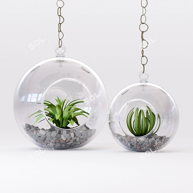 Mini Decor Plants Set | Hanging or Tabletop Vases 3D model image 4
