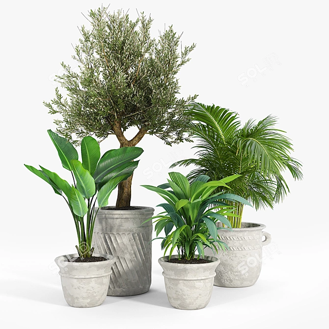 Versatile Villa Planter Set 3D model image 3