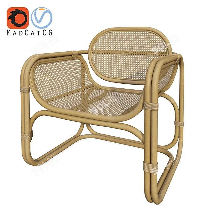 Tropical Rattan Wicker Chair 3D model image 3