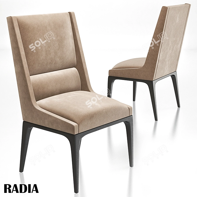 Radia Walnut Dining Chair 3D model image 1