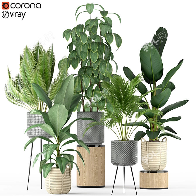 Tropical Oasis: Plant Collection 3D model image 1