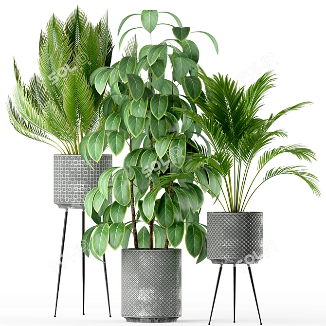 Tropical Oasis: Plant Collection 3D model image 2