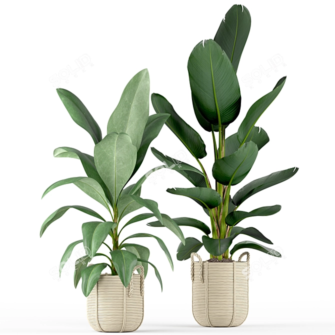 Tropical Oasis: Plant Collection 3D model image 3