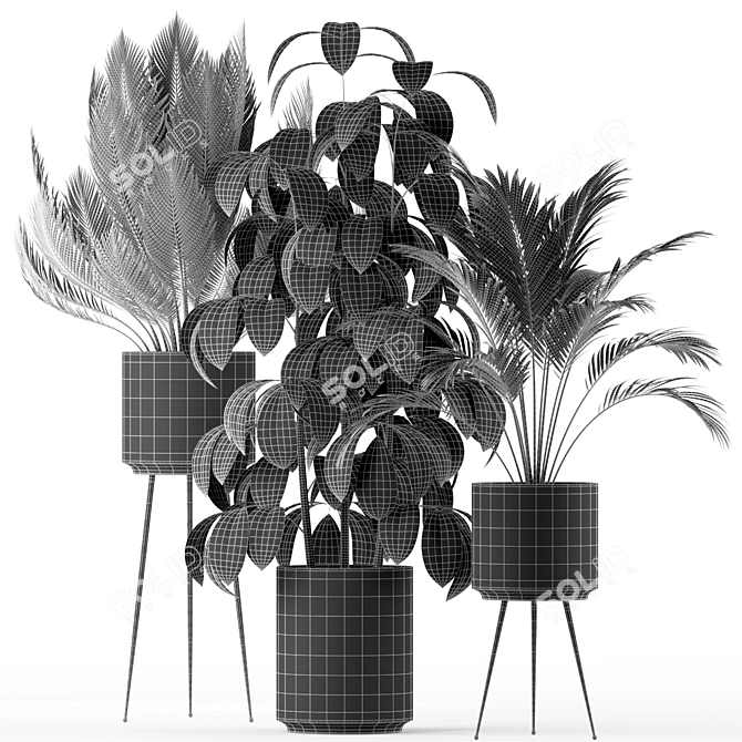 Tropical Oasis: Plant Collection 3D model image 4