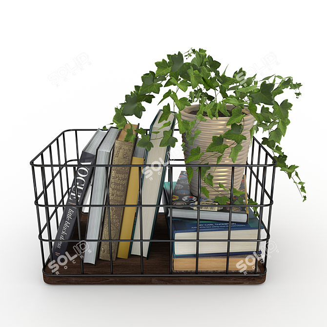 Rustic Metal & Wood Basket with Books and Ivy 3D model image 2