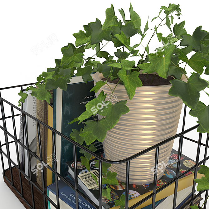 Rustic Metal & Wood Basket with Books and Ivy 3D model image 4