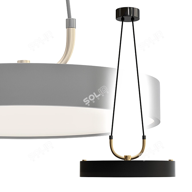 Modern LED Pendant Chandelier 3D model image 2