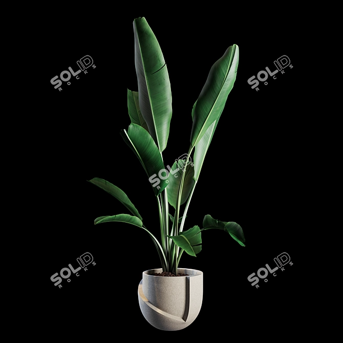 Green Oasis: Indoor Plant Collection 3D model image 2