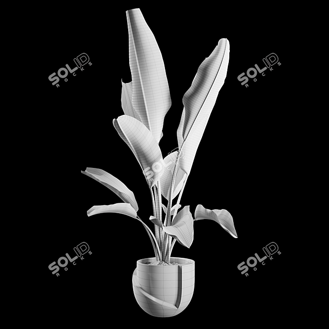 Green Oasis: Indoor Plant Collection 3D model image 1