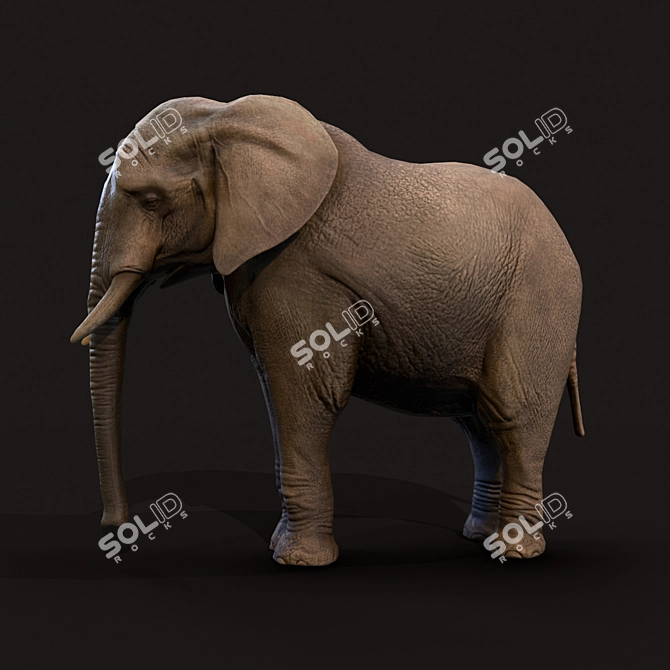 Realistic Elephant Figure 3D model image 1
