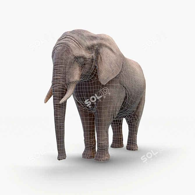 Realistic Elephant Figure 3D model image 5