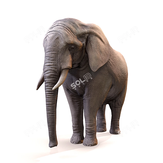 Realistic Elephant Figure 3D model image 6