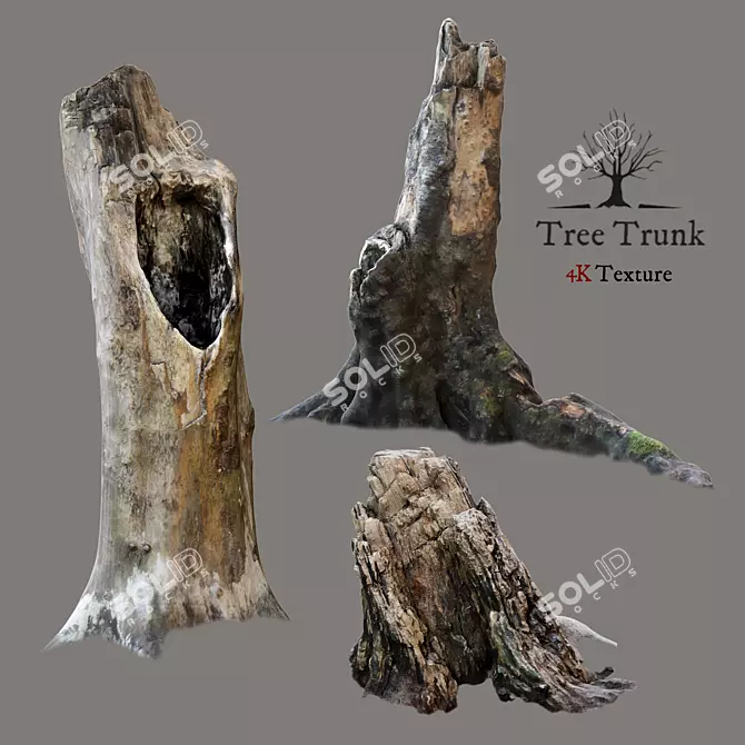 Realistic Tree Trunk 3D Model 3D model image 1
