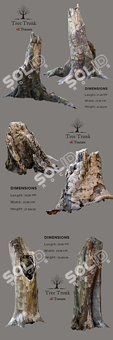 Realistic Tree Trunk 3D Model 3D model image 2
