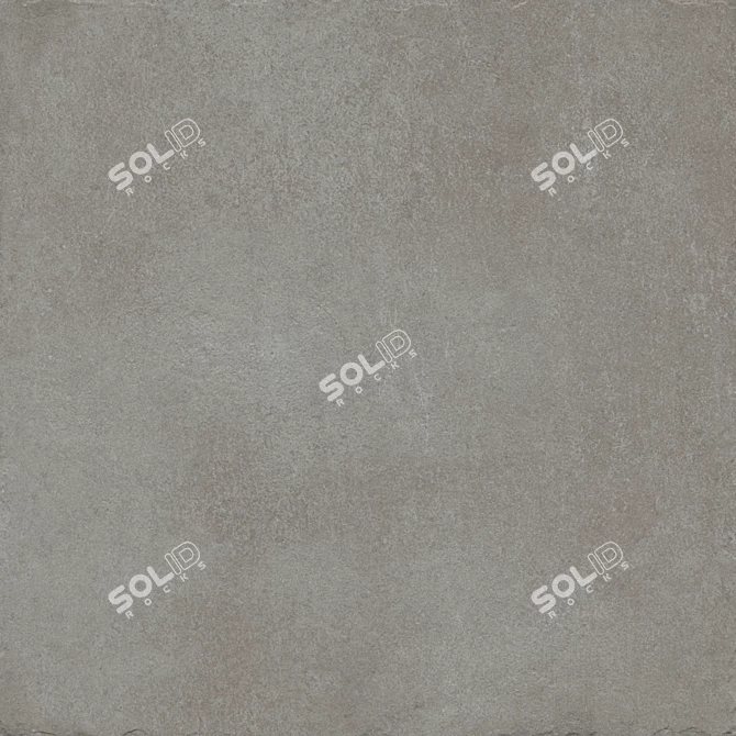 Riviera Gray: Multi-Texture Collection 3D model image 2