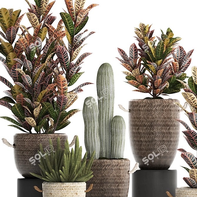 Exotic Houseplant Collection 3D model image 5