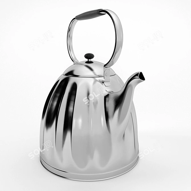 Classic Nickel Kettle: Large & Elegant 3D model image 3