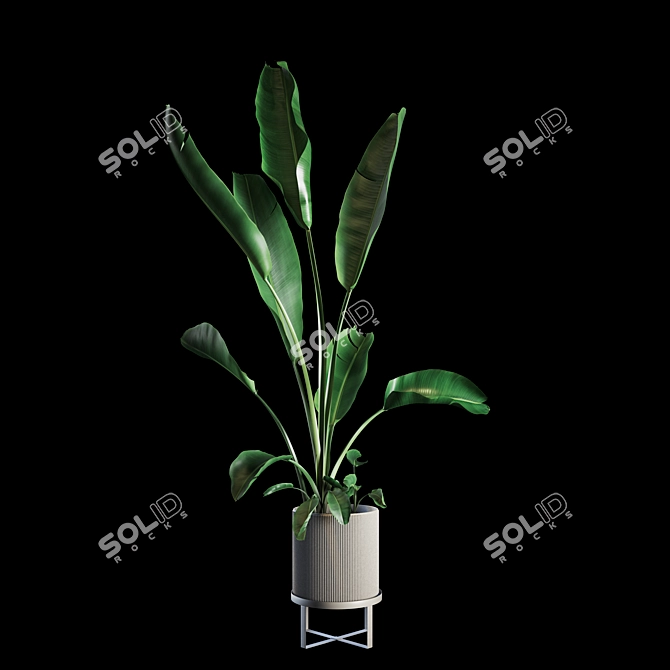 Green Oasis Indoor Plant Set 3D model image 1