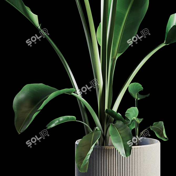 Green Oasis Indoor Plant Set 3D model image 3