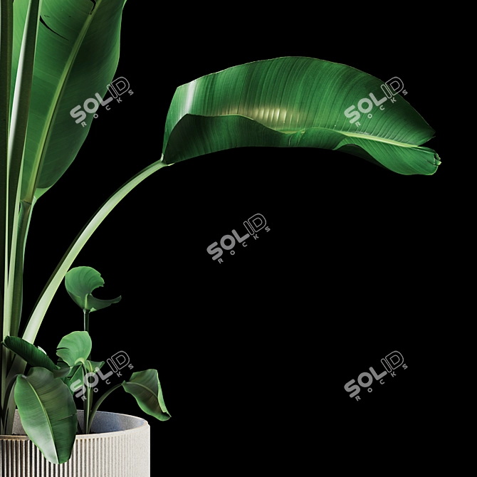 Green Oasis Indoor Plant Set 3D model image 4