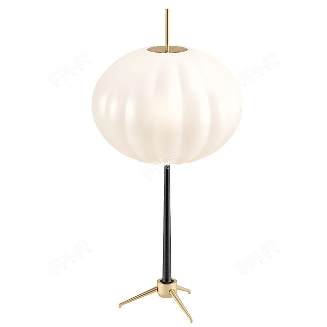 Elegant Modern Table Lamp 3D model image 1