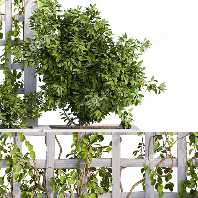 Ivy and White Fence Outdoor Plants 3D model image 2