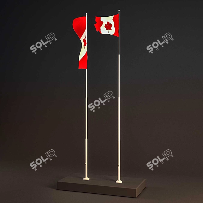 Dynamic Low Poly Animated Flag 3D model image 2